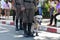 Thai Police Dog, Police man holding leashed for training dog.