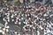 Thai rallies against amnesty bill