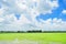 Thai rice field with cloudy sky background
