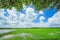 Thai rice field with cloudy sky and green leaves background