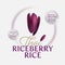 Thai riceberry rice isolated vector illustration