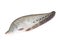 Thai River fish, on  white background