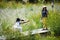 Thai senior mother and young daughter women travel visit and posing portrait on wooden bridge in garden backyard outdoor and