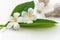 Thai Spa massage compress balls, herbal ball and treatment spa, relax and healthy care with white flower, Thailand.