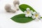 Thai Spa massage compress balls, herbal ball and treatment spa, relax and healthy care with white flower, Thailand.