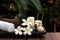 Thai Spa. Massage spa treatment aroma for healthy wellness and relax.