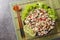 Thai Spicy Ground Chicken Salad Larb Gai closeup on the plate. Horizontal top view