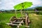 Thai style cart with rice field