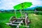 Thai style cart with rice field