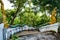 Thai style stair in Phrathat Chom Sin temple