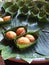 Thai sweetmeat in banana leaf vessel