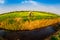 THAIBINH, VIETNAM - DECEMBER 31, 2014 - Rural landscape with nice blooming Wintercress fields.