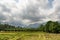 Thailand agriculture. Green field.