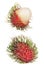 Thailand Asian rambutan isolated