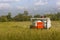 Thailand Combine harvesters working rice field