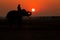 Thailand Elephant silhouette sunrise