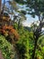 Thailand hills in winter pathway