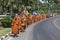 Thailand, Koh Chang, Buddhist monks on pilgrimage - long march to the temple.