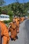 Thailand, Koh Chang, Buddhist monks on pilgrimage - long march to the temple.