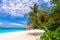 Thailand landscape, blue sky, coconut tree