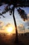 Thailand Phuket patong beach evening sunset by the coconut tree