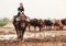 Thailand Rural Traditional Scene, Thai farmer shepherd girl is riding a buffalo, tending buffaloes herd to go back farmhouse.