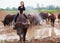 Thailand Rural Traditional Scene, Thai farmer shepherd girl is riding a buffalo, tending buffaloes herd to go back farmhouse.