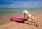 Thailand. Woman sea, bikini, kayak