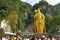 Thaipusam, Batu Caves, Selangor, Malaysia.