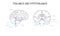 Thalamus and hypothalamus neuroscience infographic on white background. Human brain illustration. Brain anatomy