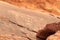 Thamudic and Nabataean petroglyphs and inscriptions on mountain in Wadi Rum desert, Jordan