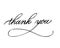 Thank you - hand lettering inscription to holiday design, black and white ink calligraphy