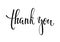 Thank you and Happy Thanksgiving Hand drawn calligraphy and brush pen lettering, isolated on background. design for holiday greeti