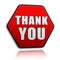 Thank you in red hexagon banner