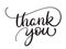 Thank you text on white background. Calligraphy lettering Vector illustration EPS10