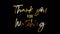 Thank You for watching golden handwritten text with light glowing effect isolated with alpha channel Quicktime Prores 444 encode.