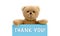 THANK YOU! written on blue card with brown teddy bear holding with the two hands the note with the message.