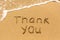 Thank you - written manually on the texture of sea sand