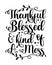 Thankful blessed and kind of a mess - motivational quote.