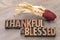 Thankful and blessed - Thanksgiving theme