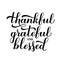 Thankful Grateful Blessed calligraphy hand lettering. Thanksgiving Day inspirational quote. Easy to edit vector template for