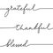 Thankful grateful blessed hand drawn lettering. Modern calligraphy quote for Thankgiving