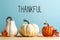 Thankful message with pumpkins