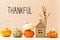 Thankful message with pumpkins with a house