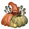 Thankgiving iilustration with gnomes, pumpkin, maple leaves, fruits, vegetables, flowers.