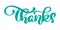 Thanks handwritten vector calligraphy illustration, brush pen lettering text isolated on white background, Typography