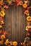 Thanksgiving autumn background