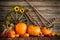 Thanksgiving autumnal still life with pumpkins