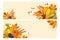 Thanksgiving background with space for text, horizontal banners with autumn leaves, pumpkins, chokeberry vector