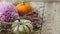 Thanksgiving banner. Stylish pumpkins, purple dahlias flowers, heather on rustic old wooden background. Fall rural border with
